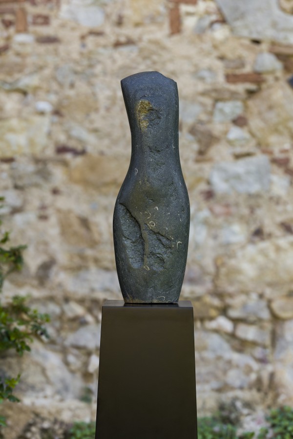 Dark Purbeck Torso