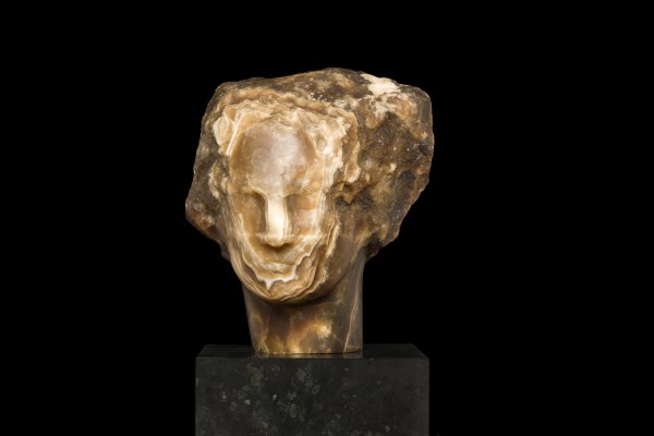 Little Lion Head