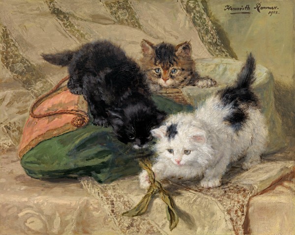 Three playful kittens