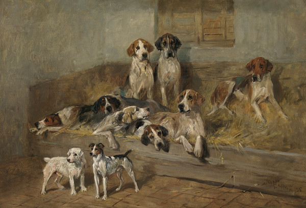 Hounds and terriers in a stable