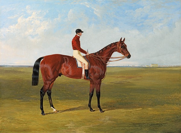 Mr Samuel Wrather's 'Nutwith', winner of the 1843 St Leger, with Job Marson up