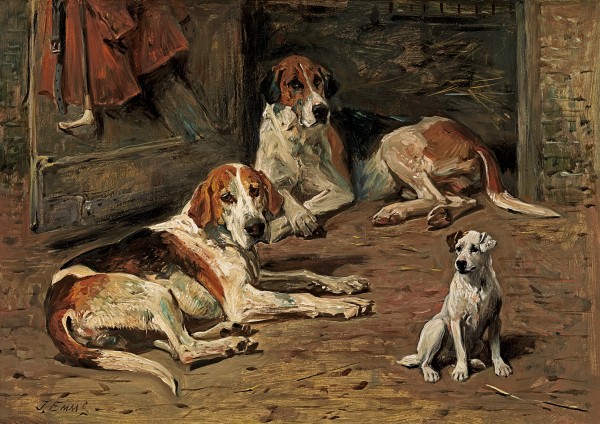 Foxhounds and a terrier in a kennel