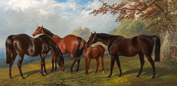 The Althorp Mares: Annette, Polyxena and Polydora with her chestnut foal