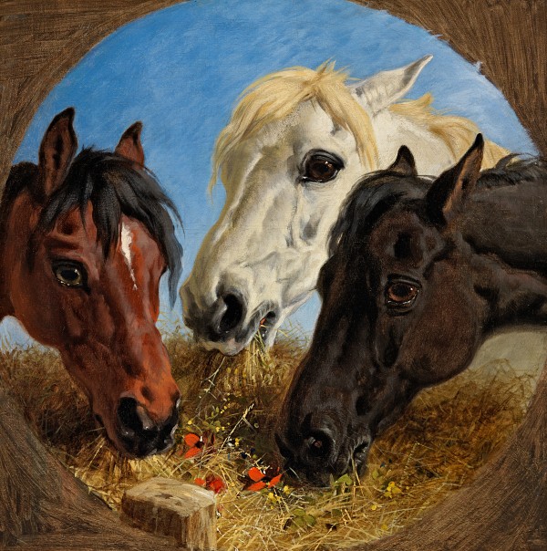 John Frederick Herring Snr - Feeding time