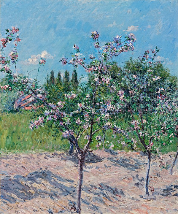 Pommiers en fleurs, Petit Gennevilliers