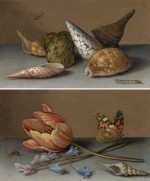 Balthasar van der Ast - A still life of shells, with a wasp and a caterpillar on a stone ledge; A still life of a tulip, bluebells and a shell on a stone ledge with a fly and a Painted Lady butterfly (Vanessa cardui)