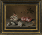 Balthasar van der Ast - A tulip, a carnation and roses, with shells and insects, on a ledge