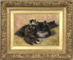 Henriette Ronner-Knip - A gentle provocation