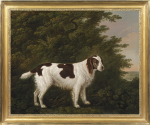 John Boultbee - Portrait of a water spaniel in a landscape