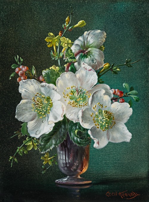 Cecil Kennedy - Winter - Christmas roses in a glass vase