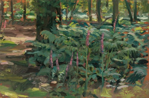 Max Denison-Pender - New Forest