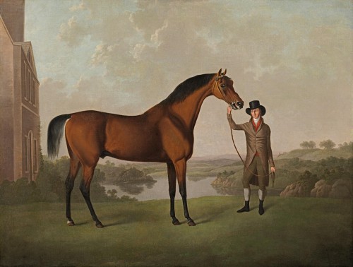 Charles Towne - Mr Thomas Ewart's bay racehorse held by a trainer in the grounds of his country house, Everton