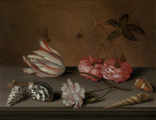 Balthasar van der Ast - A tulip, a carnation and roses, with shells and insects, on a ledge