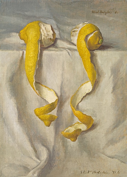Eliot Hodgkin - Two cut lemons hanging