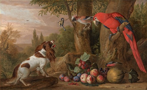 Jacob Bogdani - A King Charles spaniel with a scarlet macaw, jay and blue tit, with fruit in a park landscape