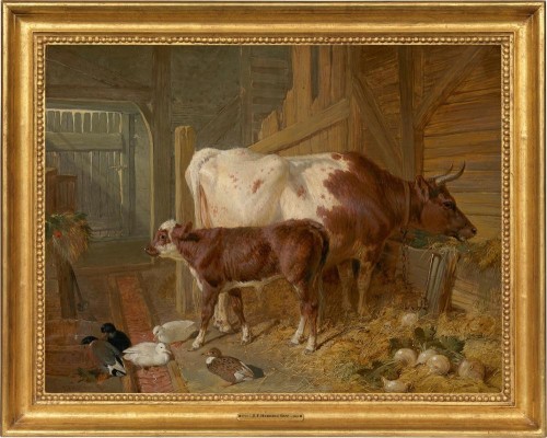 A cow and her calf in stable interior with ducks