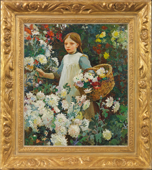 Picking chrysanthemums