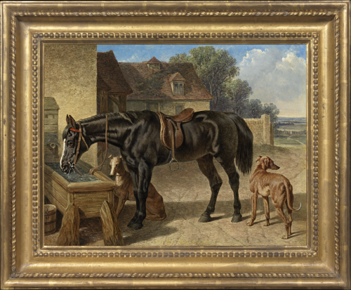 A farmer's hack drinking from a trough, with two greyhounds