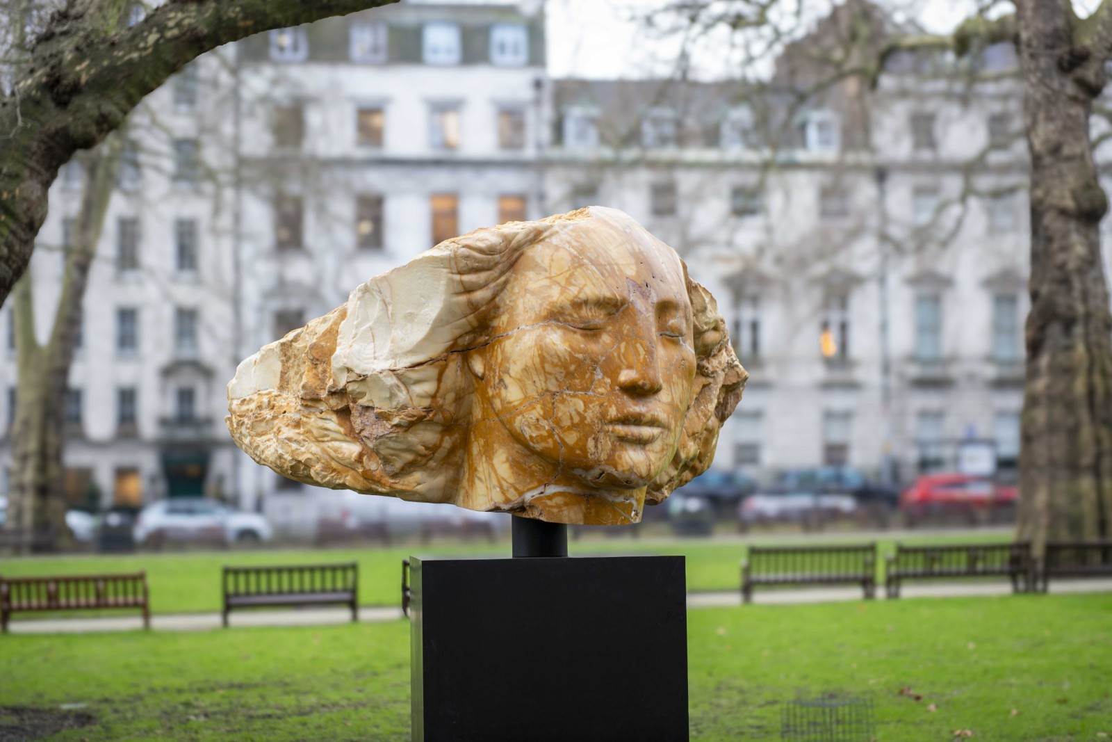 EMILY YOUNG WINS LIFETIME ACHIEVEMENT AWARD